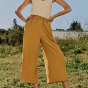 Cuyana washable silk honey wide leg cropped pull on pants